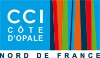 cotedopale.cci.fr